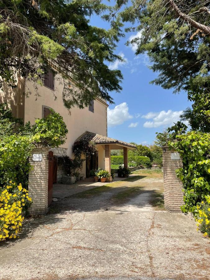 Casale La Civetta Bed & Breakfast Larino ภายนอก รูปภาพ