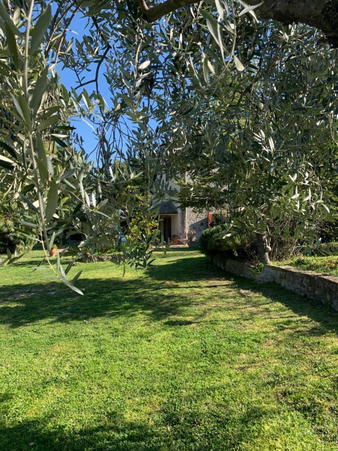 Casale La Civetta Bed & Breakfast Larino ภายนอก รูปภาพ